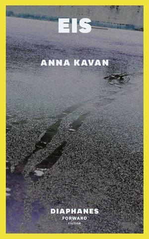 Anna Kavan: Eis