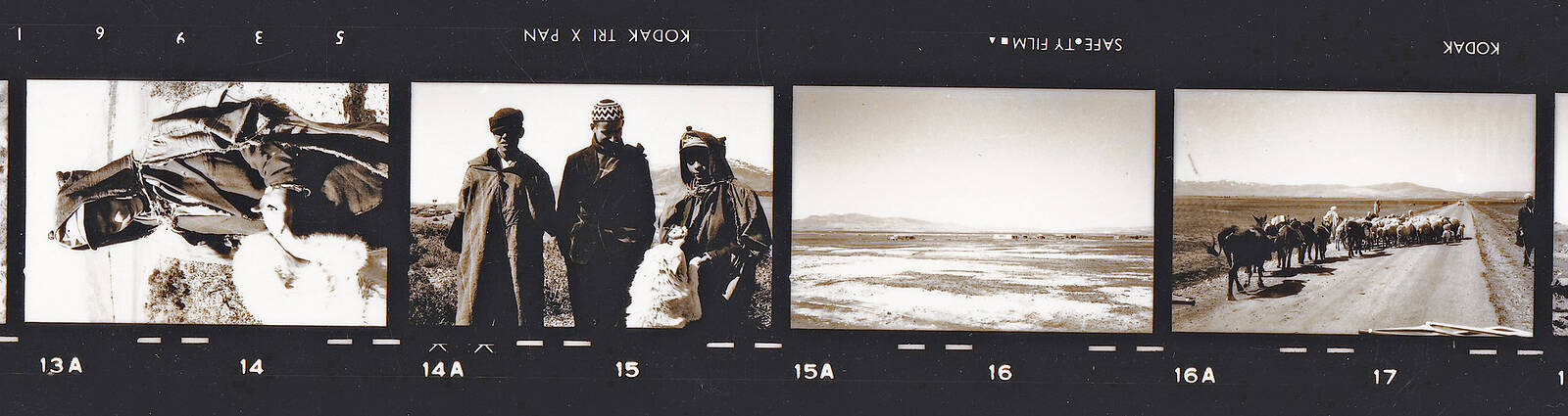 L’Algérie à l’œuvre